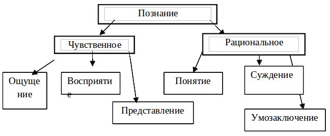 схемы 9 класс по обществознанию