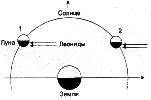 Город солнца леонидов проект